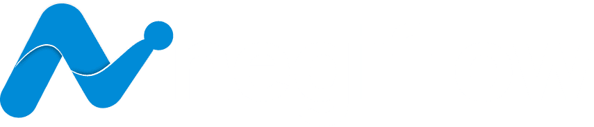 NegiFlow